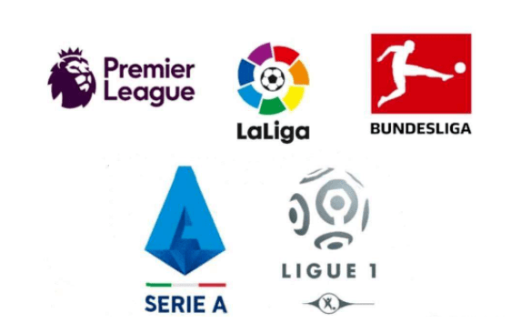 张本智和 张本智和